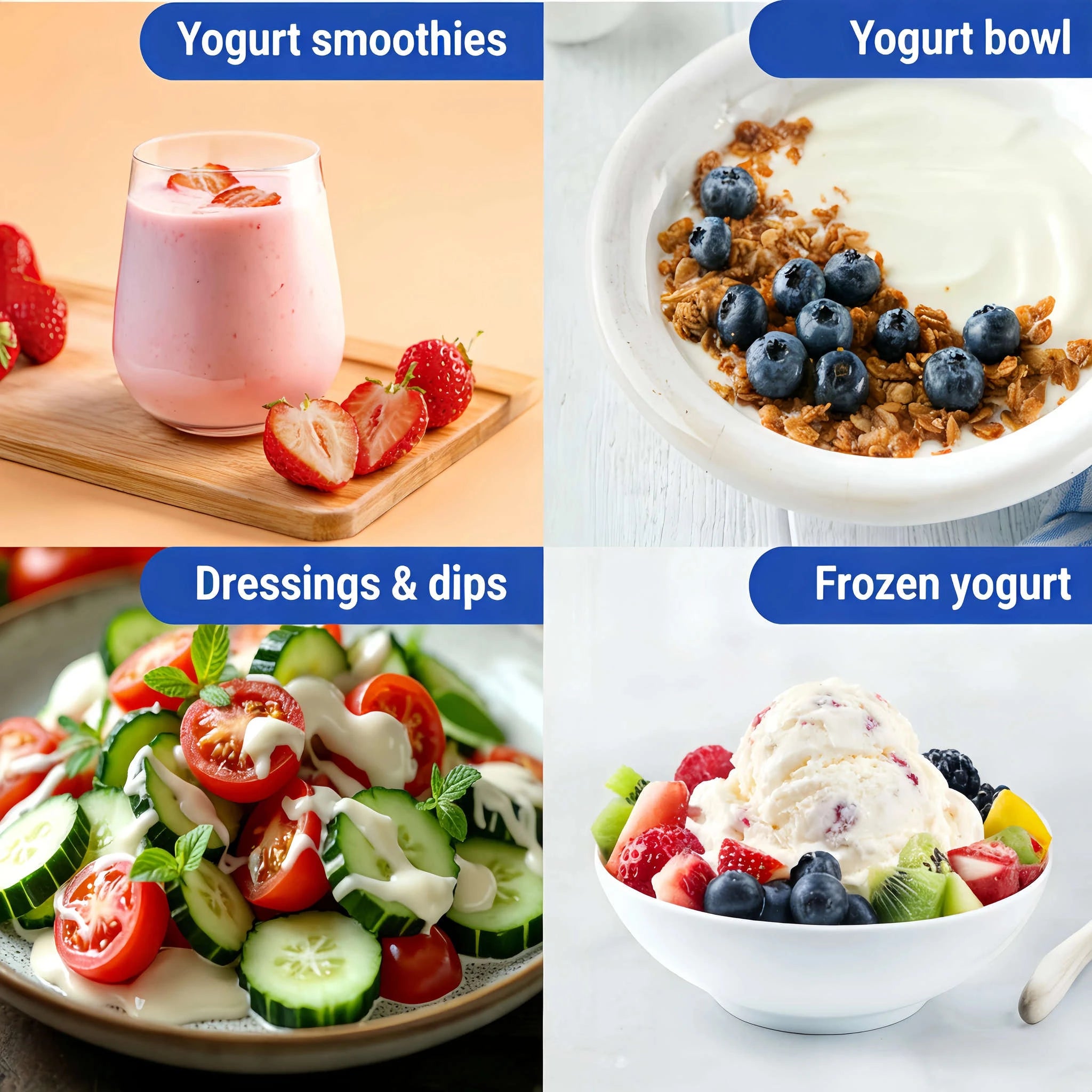 Electric Yogurt Maker Machine, 8 Jars Stainless Steel Yogurt Fermenter with 5 FREE Gifts: Bottle Opener, Egg Separator, Dish Sponge, Cleaning Cloth, Jam Spreader-United States