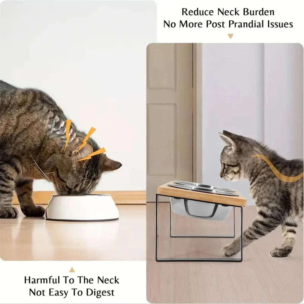 Elevated Cat Bowls with 15° Tilted Raised Stand-Elevated bowls