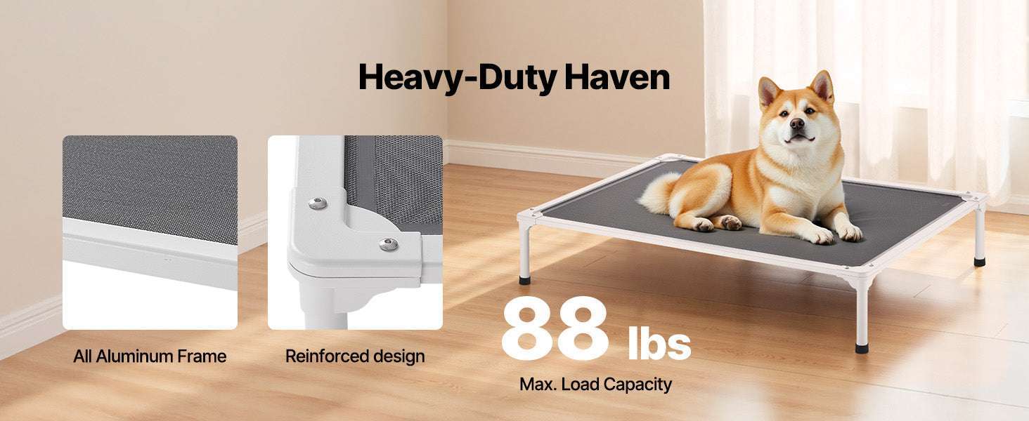 Elevated Dog Bed for Large Dogs with Breathable Mesh & Metal Frame-XL Without Pillow / United States