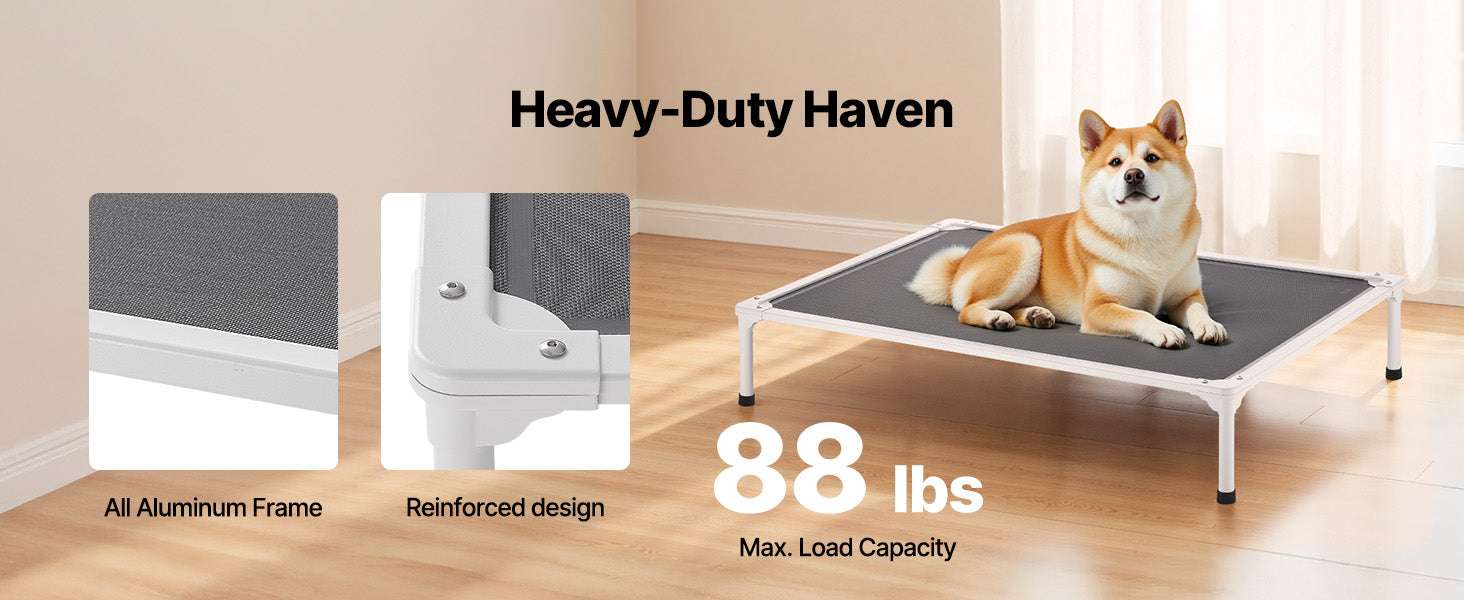 Elevated Dog Bed for Large Dogs with Breathable Mesh & Metal Frame-XL Without Pillow / United States