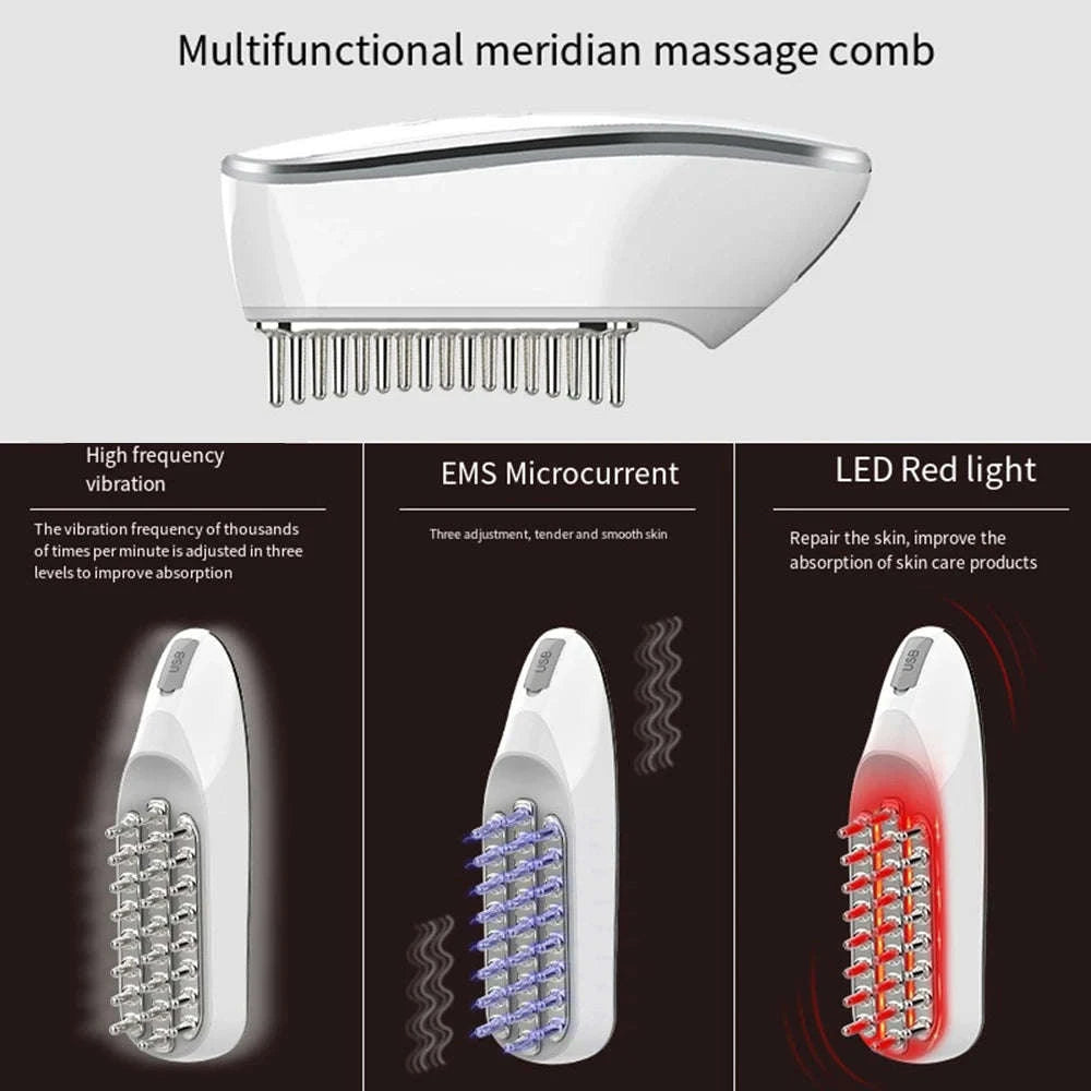 EMS Micro Electric Hair Care Comb-EMS