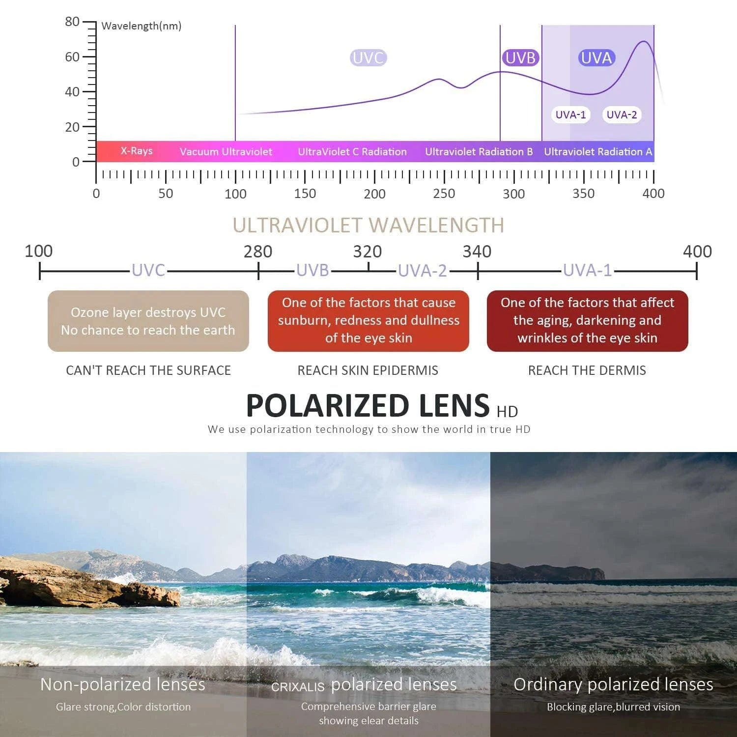 Fashion Photochromic Polarized Sunglasses for Men and Women-Other / C5 / China Mainland