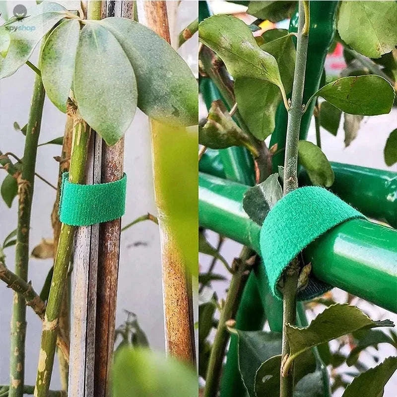 Garden Twine Plant Ties – Durable Nylon Support for Growing Plants-White / 3pcs