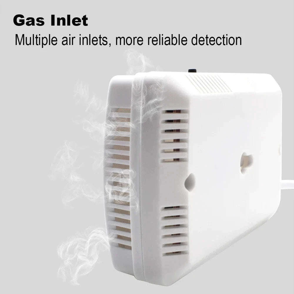 Gas Detector and Carbon Monoxide Alarm for Home Safety-CO and Gas Detector