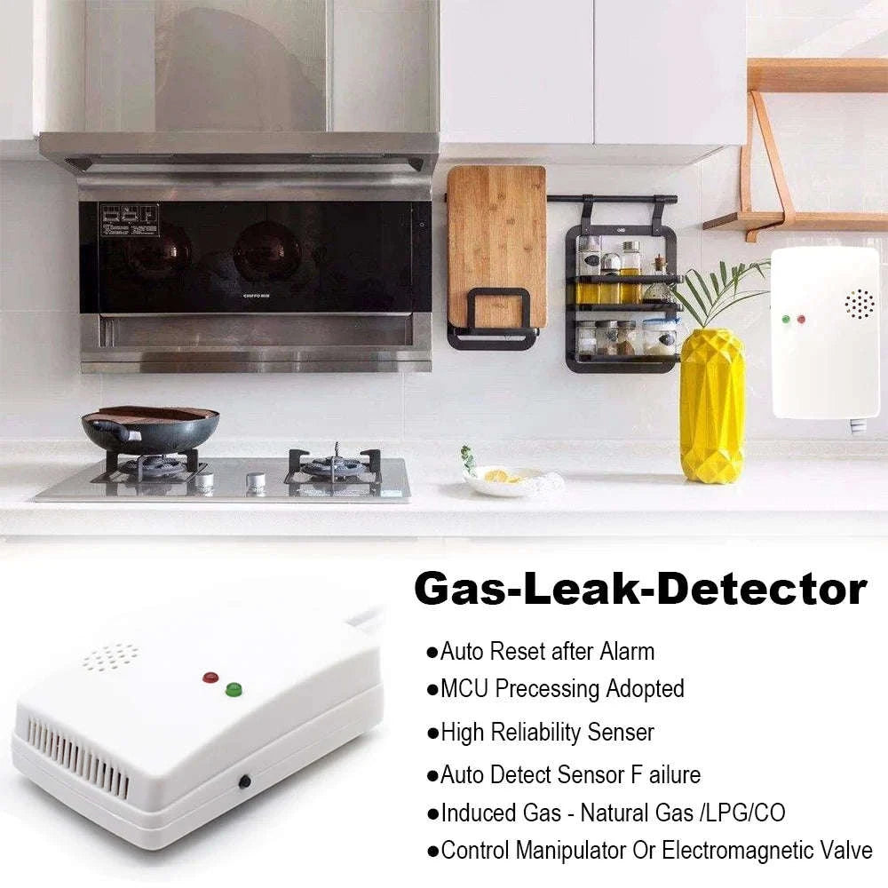 Gas Detector and Carbon Monoxide Alarm for Home Safety-CO and Gas Detector