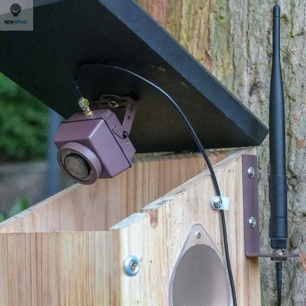 Green Backyard Nest Box-Default Title