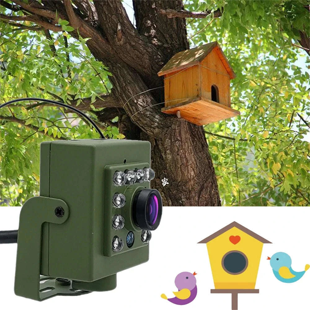 Green WiFi Bird Box Camera with Night View-5MP WIFI / UK Plug