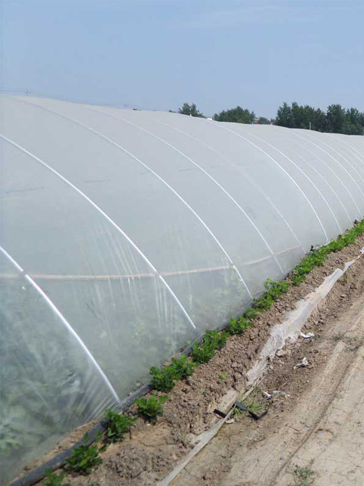 UV Resistant Polyethylene Greenhouse Film Cover 16 x 28 ft
