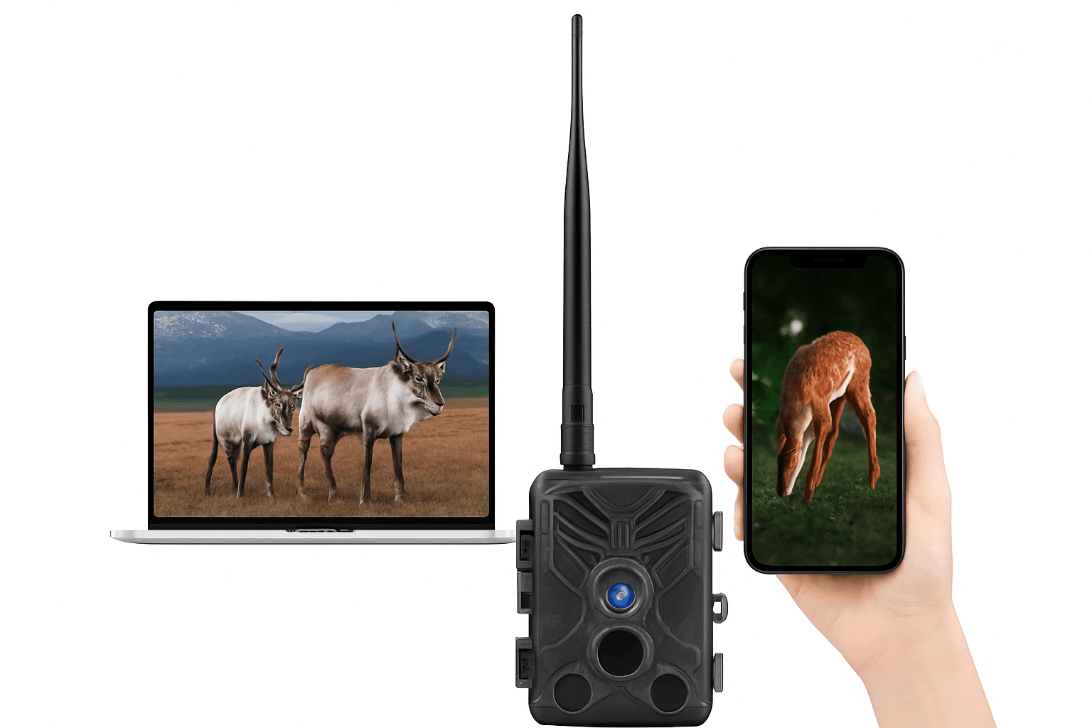 HC-810M Wildlife Hunting Camera with 4K Video, 65ft Night Vision-HC-810M