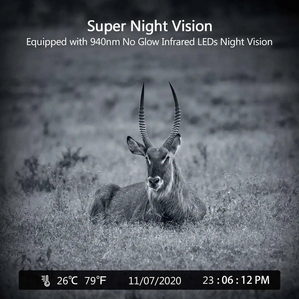 HC802A Wireless Trail Camera, 24MP Night Vision Wildlife Camera-HC-802A