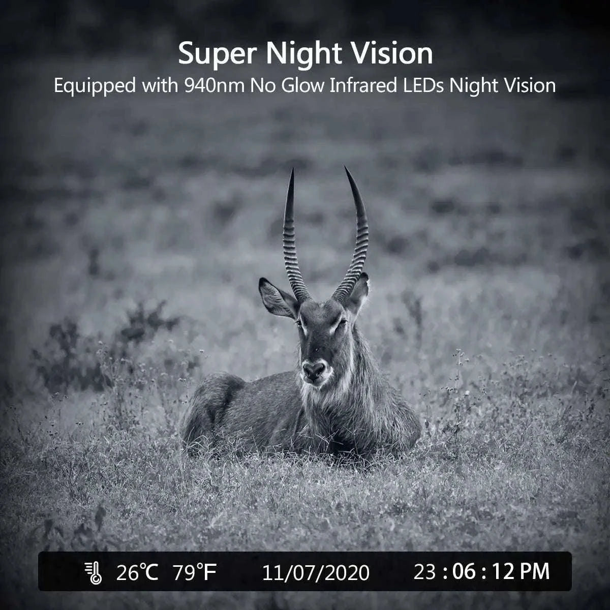 HC802A Wireless Trail Camera, 24MP Night Vision Wildlife Camera-HC-802A