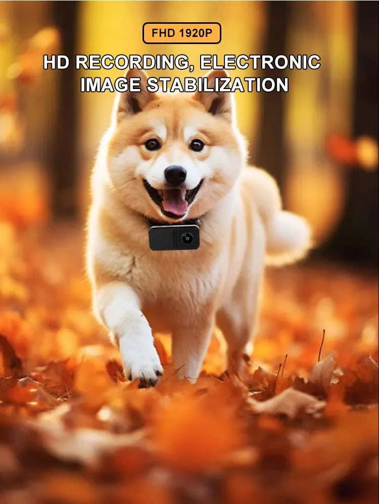 HD 1080P Pet Collar Camera with 170° Wide Angle Recording-X6 Collar pet camera / only camera