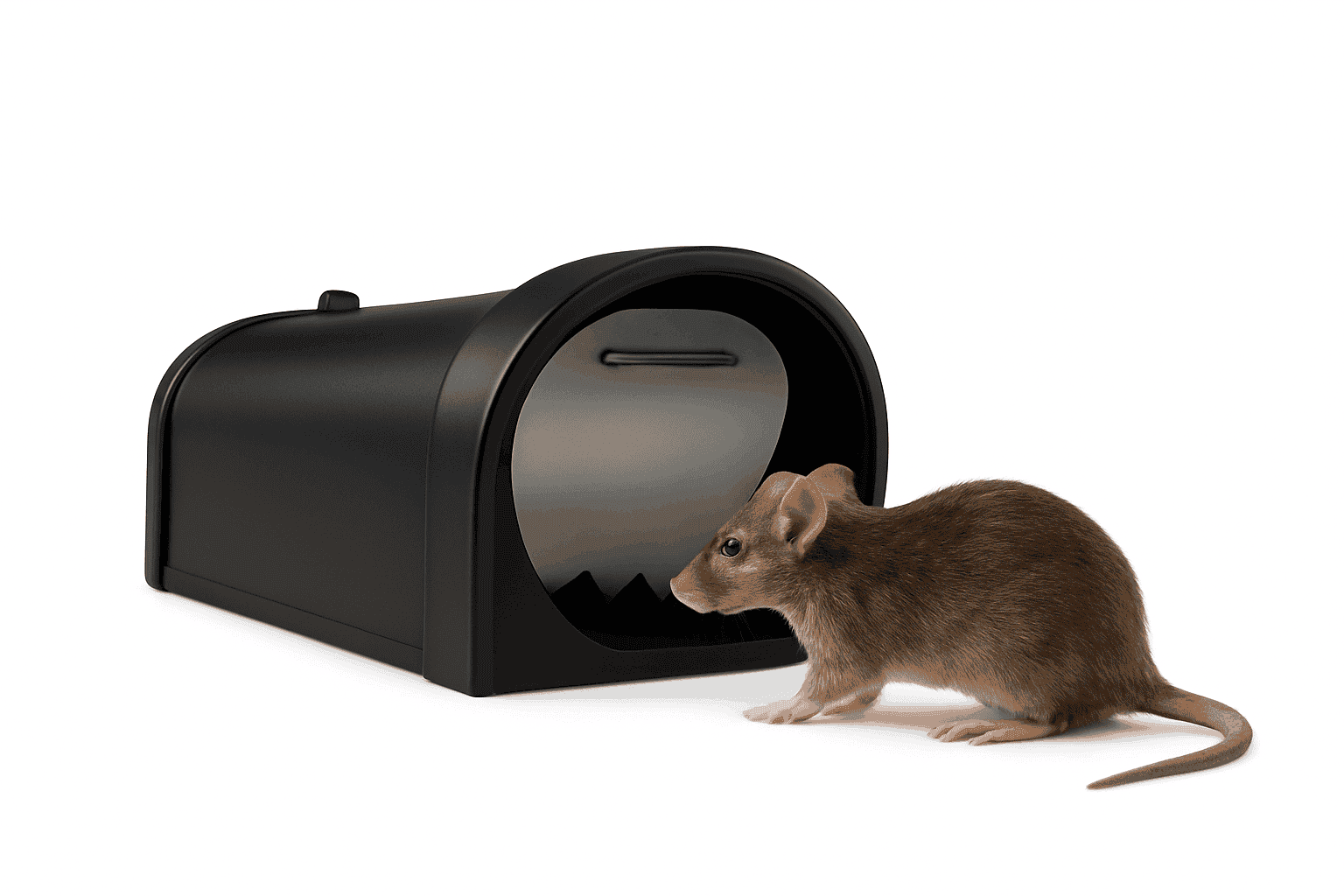 Heavy-Duty No-Contact Mouse Trap-black