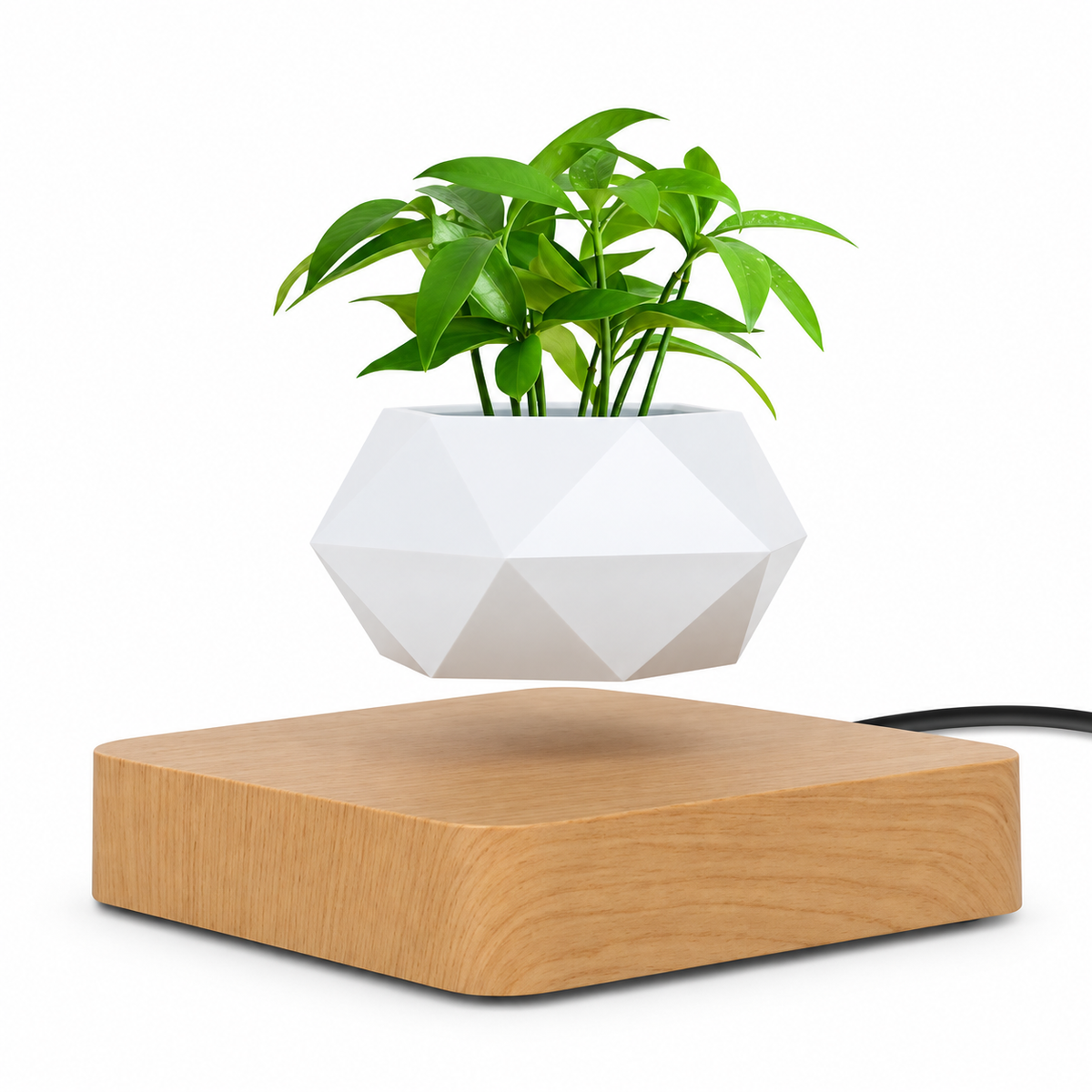 Magnetic Levitating Rotating Plant Pot