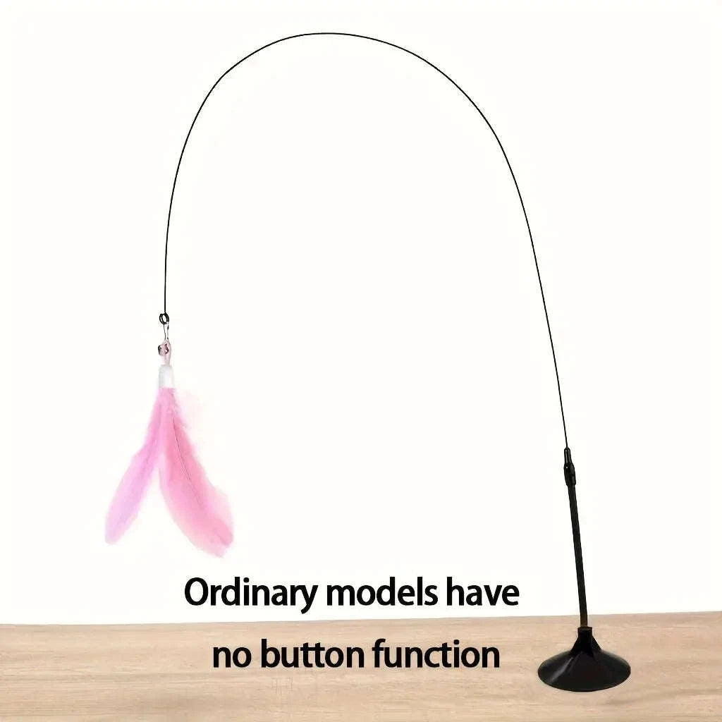 Interactive Cat Toy Teaser with Bell & Feather Wand-Black Enhanced