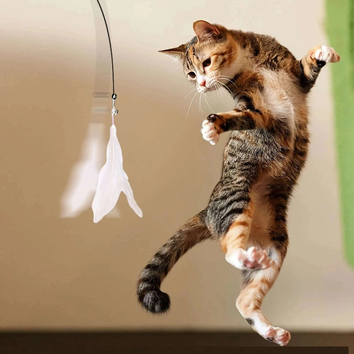 Interactive Cat Toy Teaser with Bell & Feather Wand-Black Enhanced