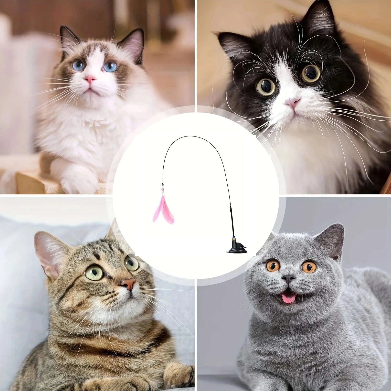 Interactive Cat Toy Teaser with Bell & Feather Wand-Black Enhanced