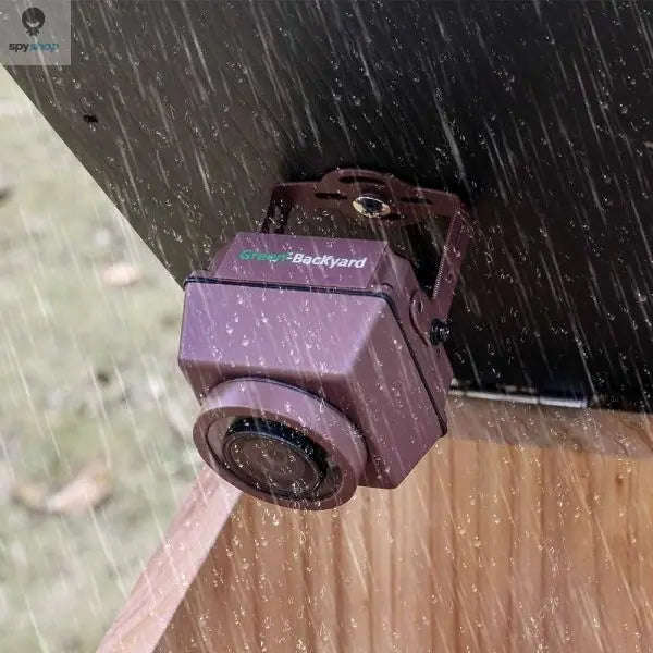 IP PoE Camera Green Backyard Nest Box Camera for Enhanced Surveillance-Default Title