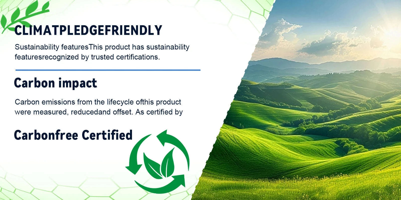 JUICEASE TX01 Electric Scooter for Adults with Smart App Control-JUICEASE TX01 36V7.8AH / Poland