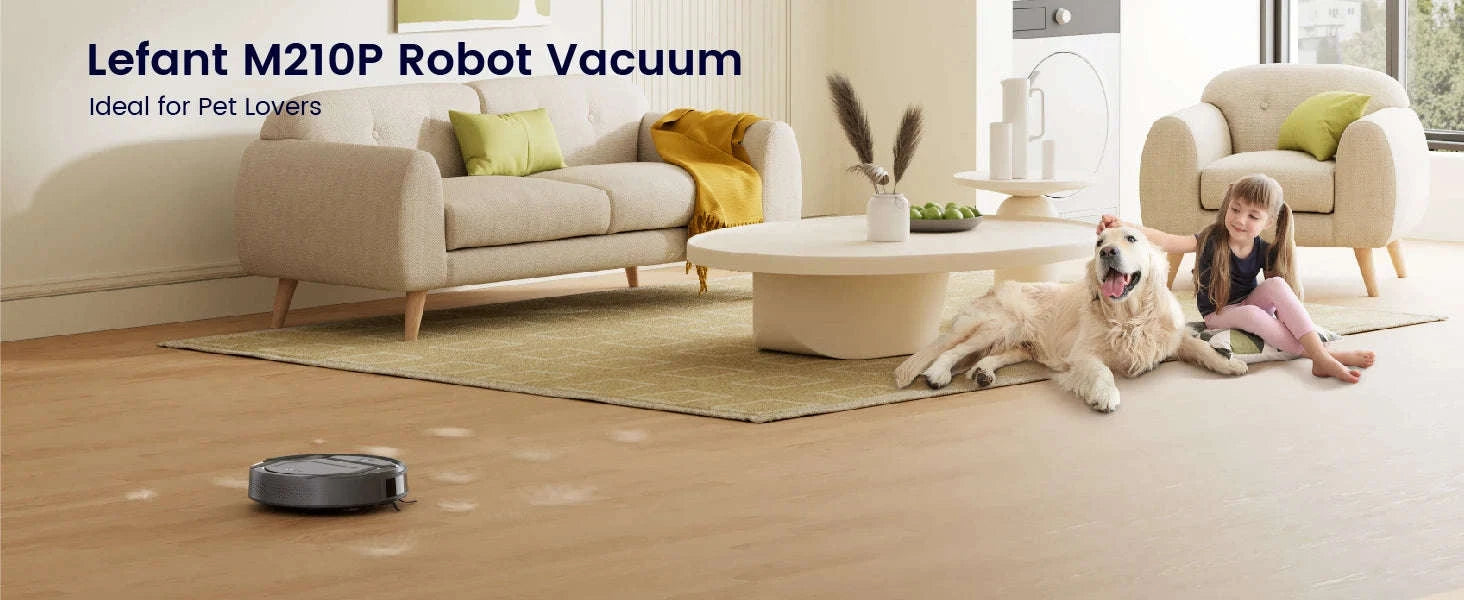 Lefant M210 Pro Robot Vacuum Cleaner-M210-T-white / EU / GERMANY