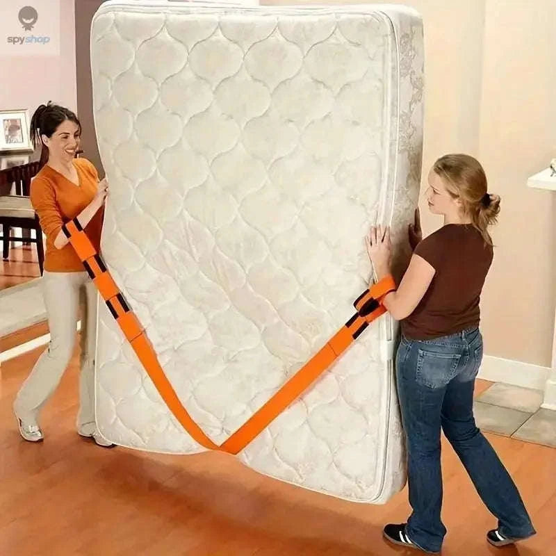 LiftMaster Furniture Straps-a pair for 2 people