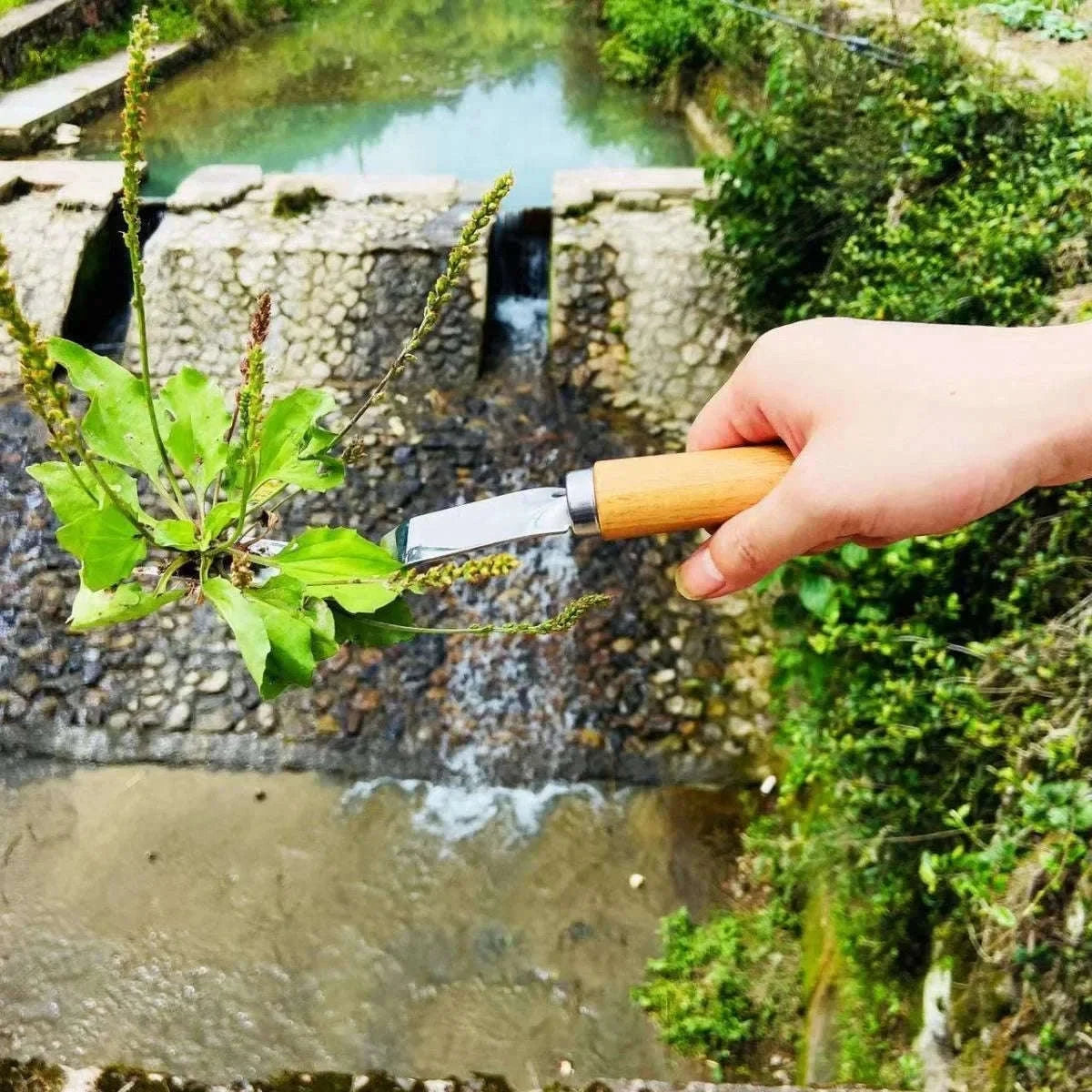 Manual Weeding Machine Set for Easy Outdoor Maintenance-L / B9489A / China Mainland