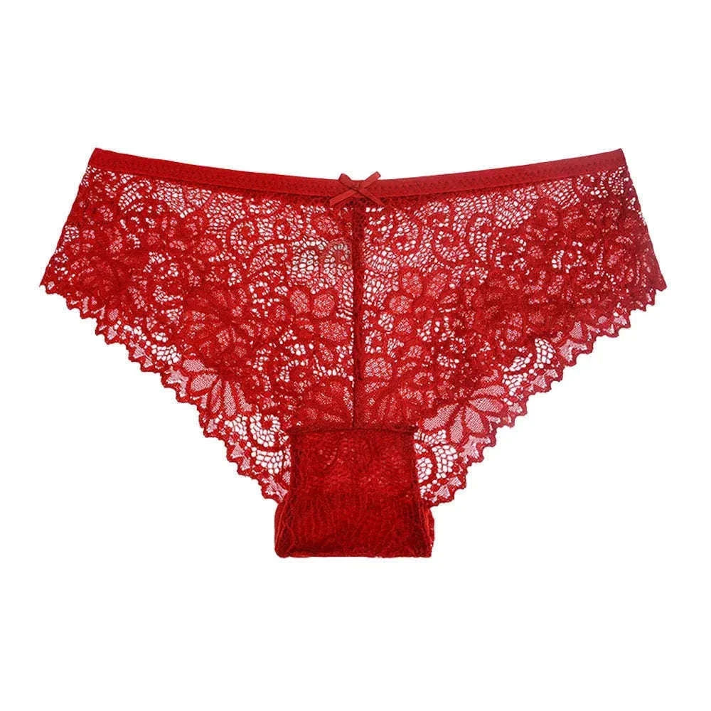 Mesh Lace Panties Set 5 Pack for Everyday Comfort-3004 / XXL(80-90kg) / 5pcs