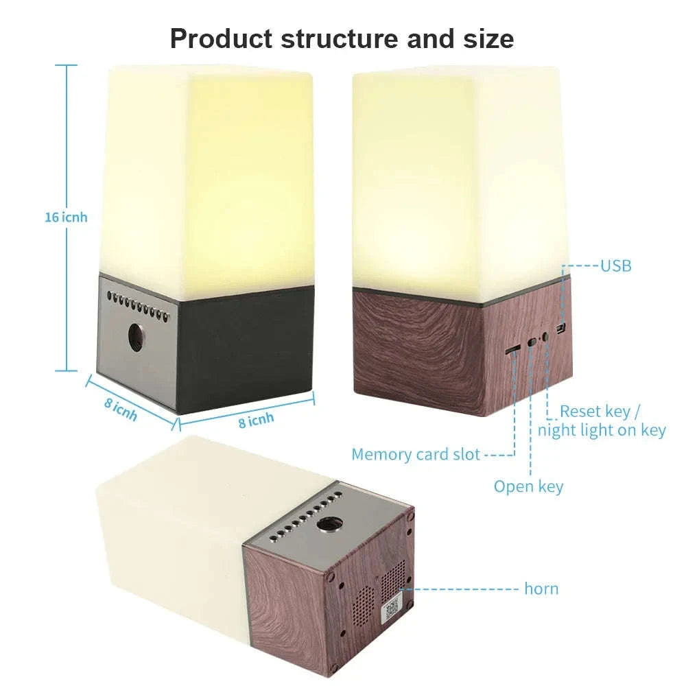 Mini Camera Light WiFi Security LED Desk Lamp with Night Vision-Black / only camera