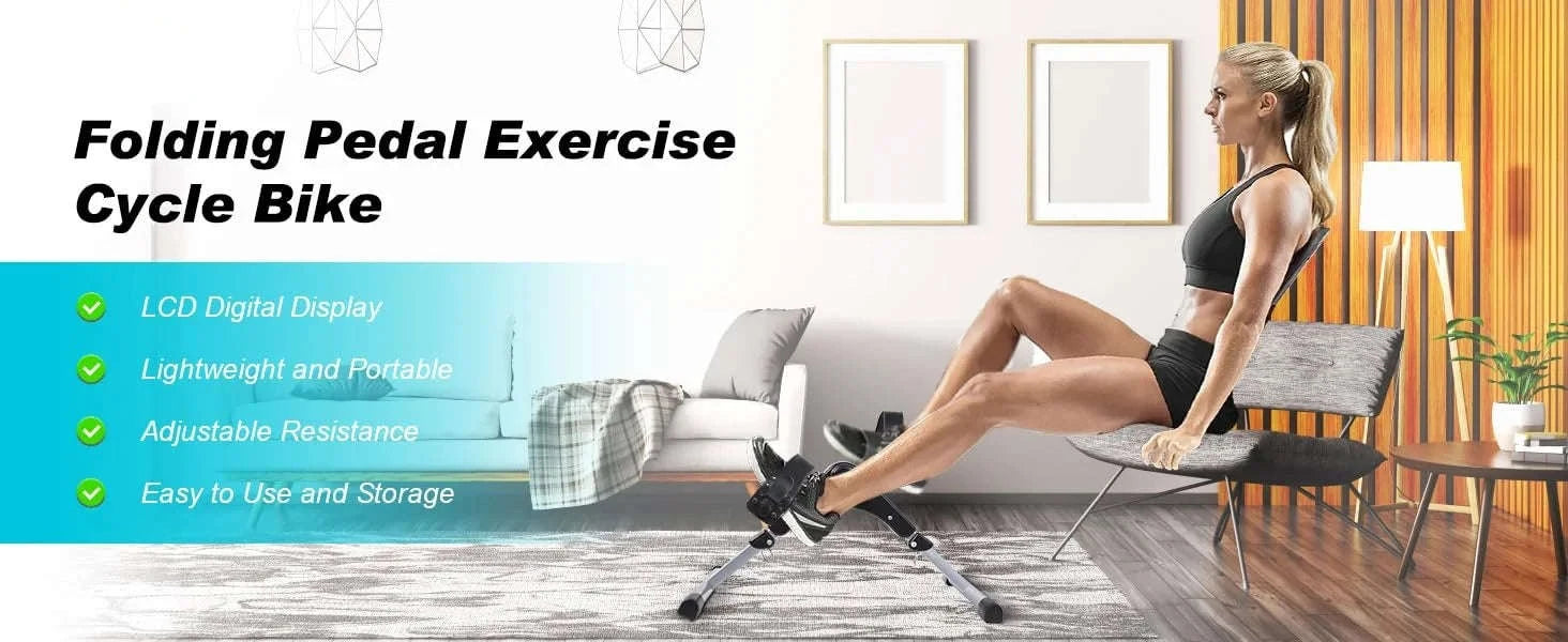 Mini Exercise Bike with LCD Screen for Arm & Leg Training-Black and silver / GERMANY