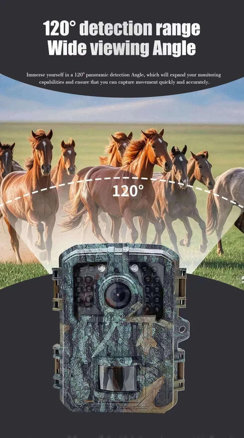 Mini Trail Camera 1080P Night Vision Wildlife Hunting Camera-DL003 None card