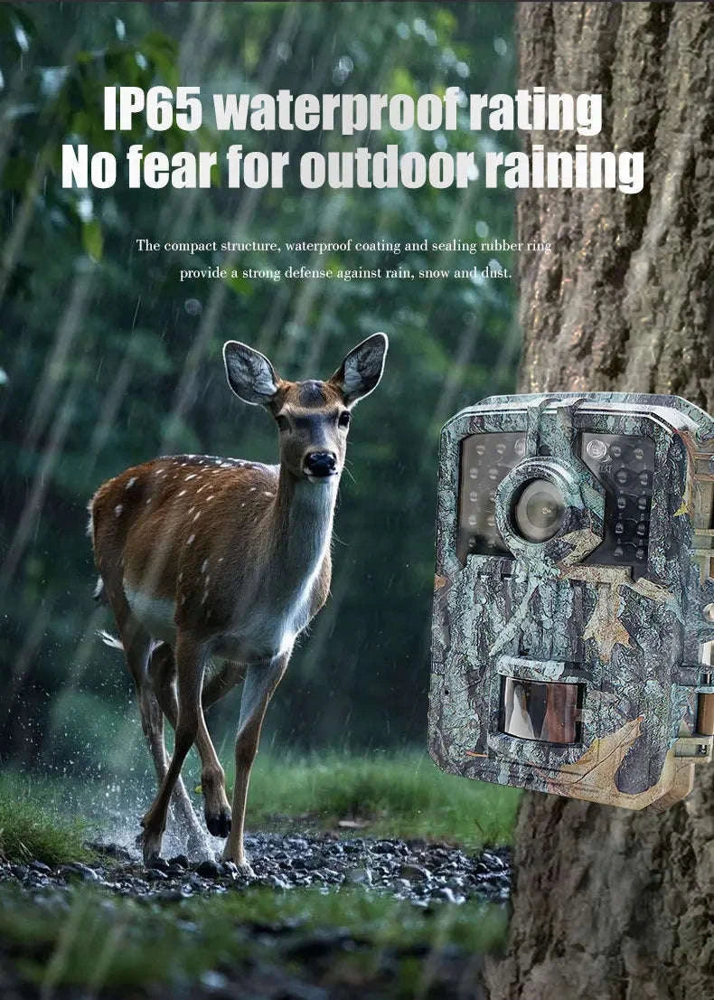 Mini Trail Camera 1080P Night Vision Wildlife Hunting Camera-DL003 None card
