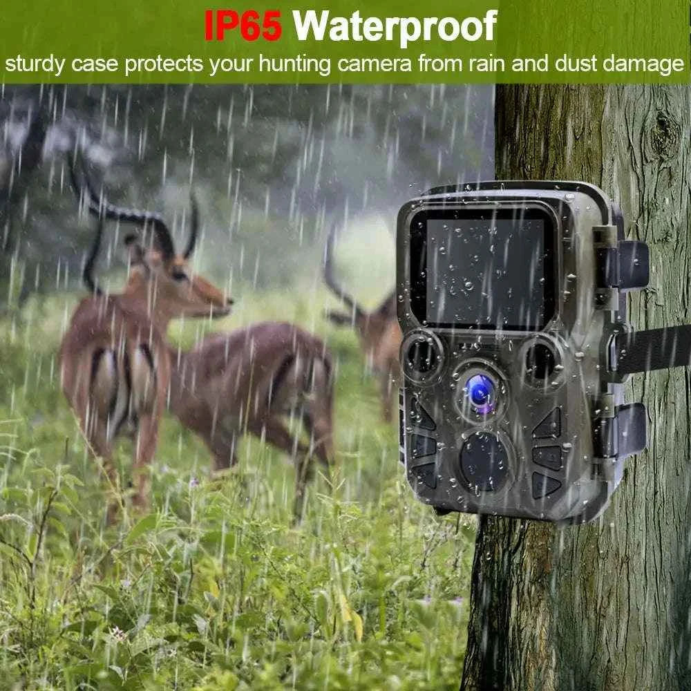 Mini Trail Camera with 4K Video, Night Vision, and IP66 Water Resistance