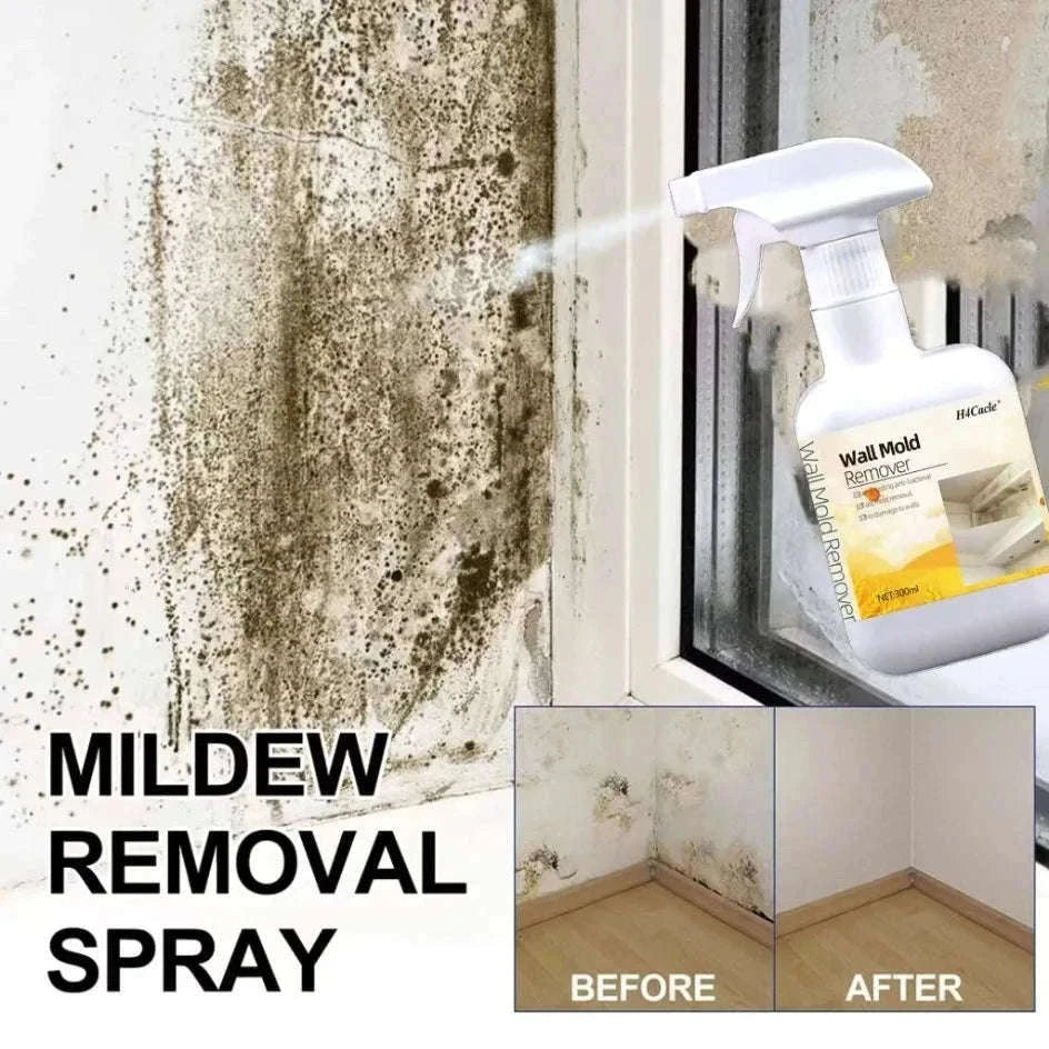 Mold Remover Spray for Walls, Tiles, Sinks & Bathroom Mildew-China Mainland / 300ml