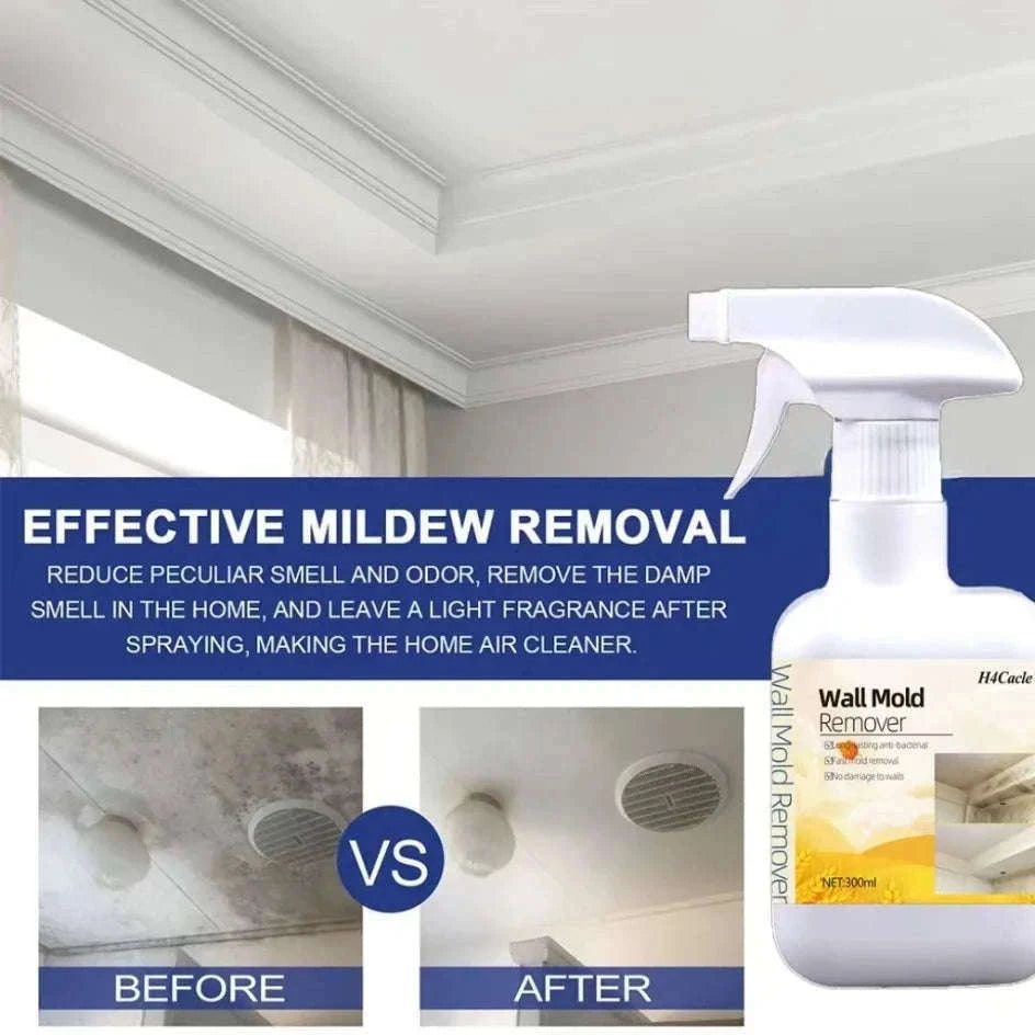 Mold Remover Spray for Walls, Tiles, Sinks & Bathroom Mildew-China Mainland / 300ml