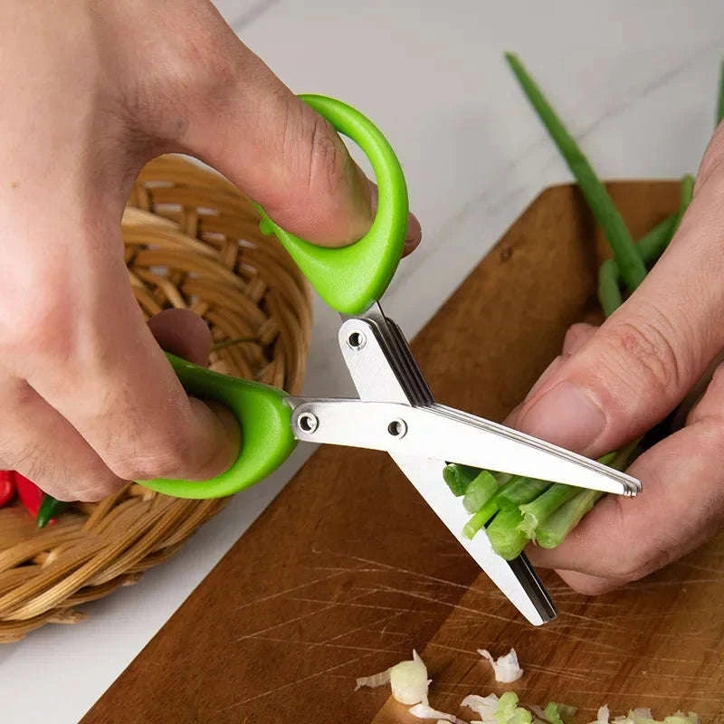 Multi-Functional Stainless Steel Kitchen Scissors-5 Layers