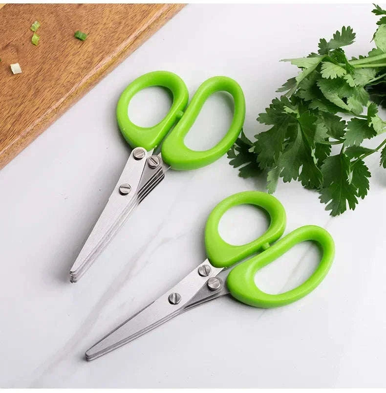 Multi-Functional Stainless Steel Kitchen Scissors-5 Layers
