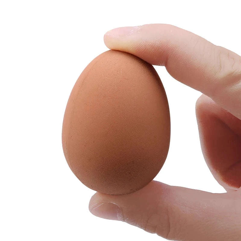 Novelty Bouncy Egg Rubber Toy – Realistic Farm Hatching Egg-Default Title