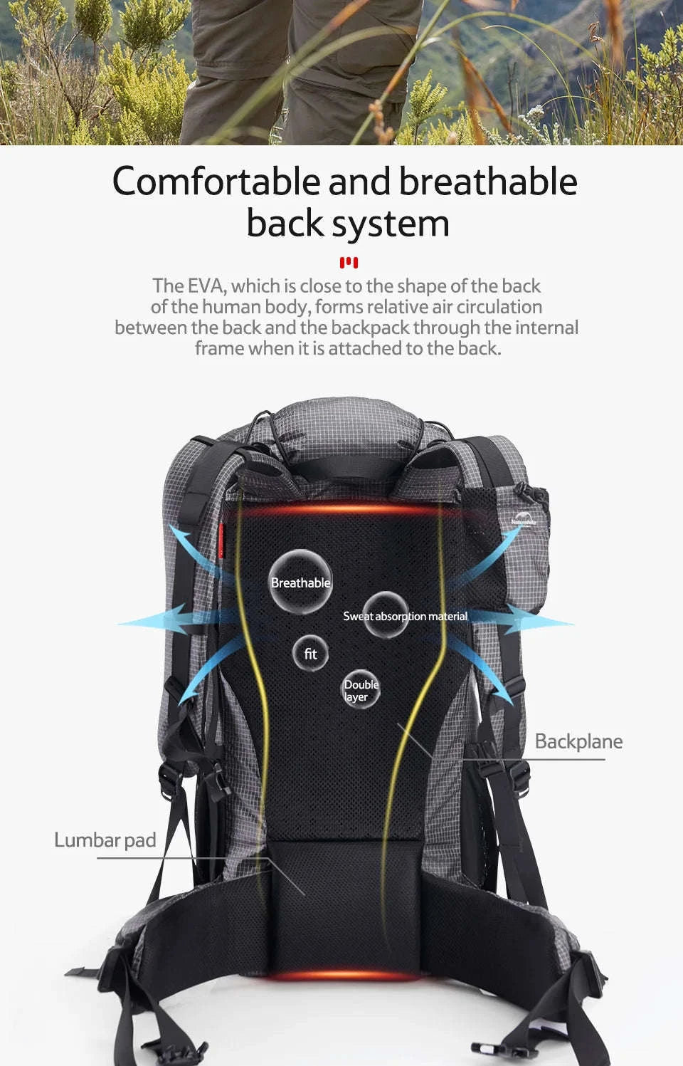Outdoor Mountain Backpack 60+5L Waterproof with Rain Cover-60L Black / japan