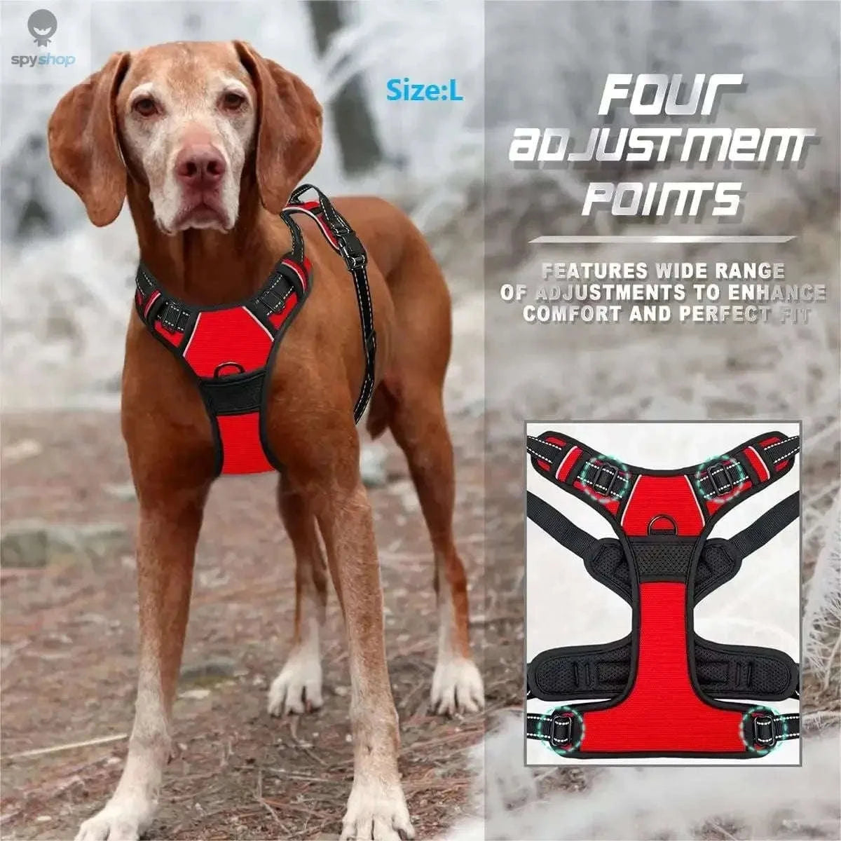 Personalized Dog Vest Harness – Adjustable, Comfortable, Secure Fit-Black / S / CHINA