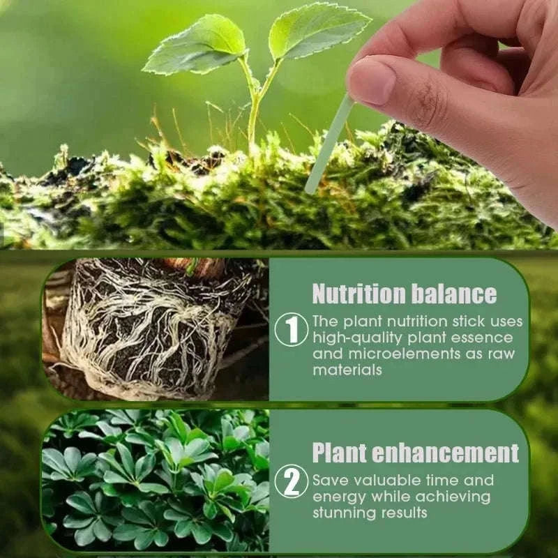 Plant Slow-Release Nutrient Sticks for Indoor Potted Plants-B-30PCS