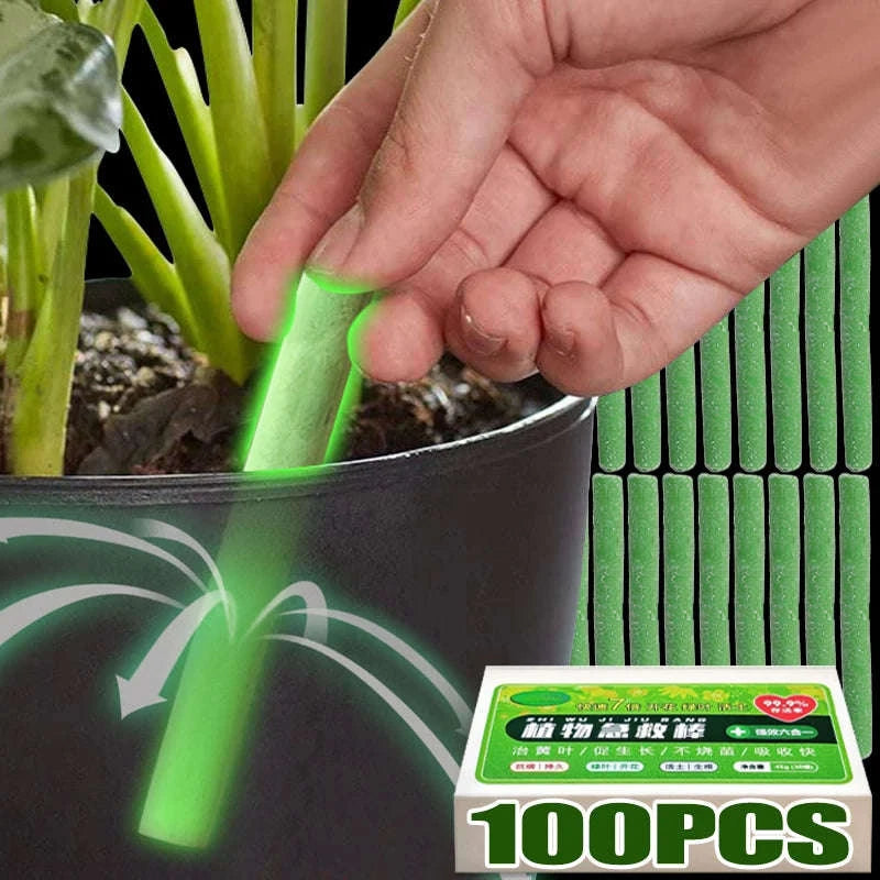 Plant Slow‑Release Nutrient Sticks for Indoor Potted Plants-B-30PCS