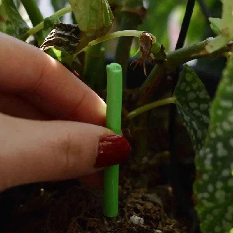 Plant Slow-Release Nutrient Sticks for Indoor Potted Plants-B-30PCS