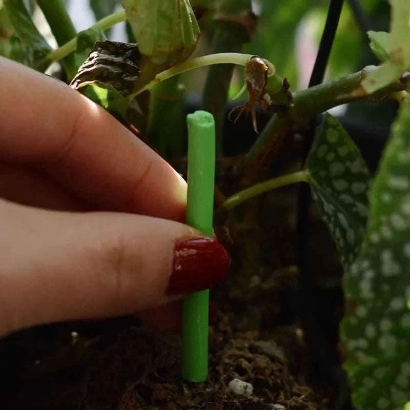 Plant Slow-Release Nutrient Sticks for Indoor Potted Plants-B-30PCS