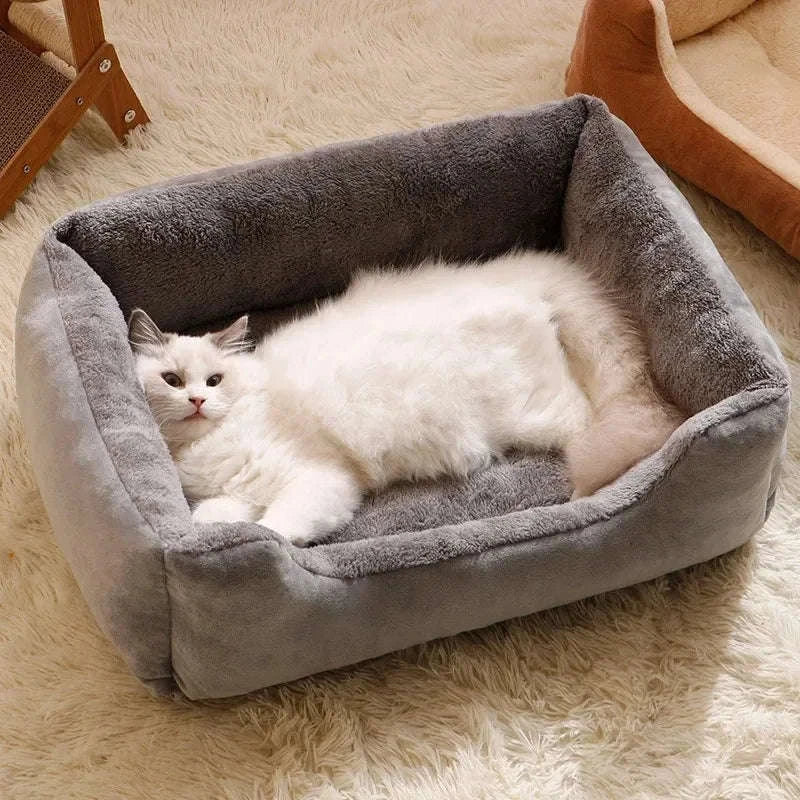 Plush Cat Bed & Mat-Pink / XXL 80x60cm