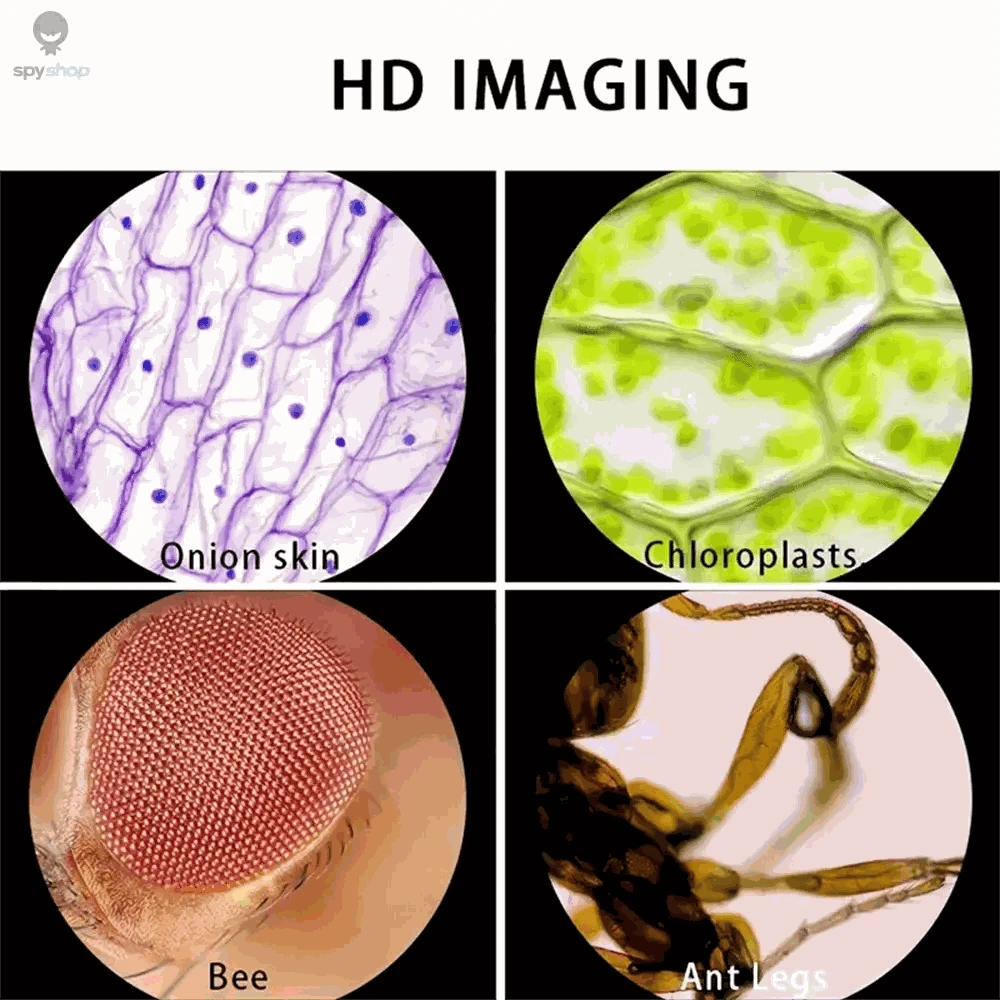 Portable Handheld Microscope 60–120X Zoom with LED Light-