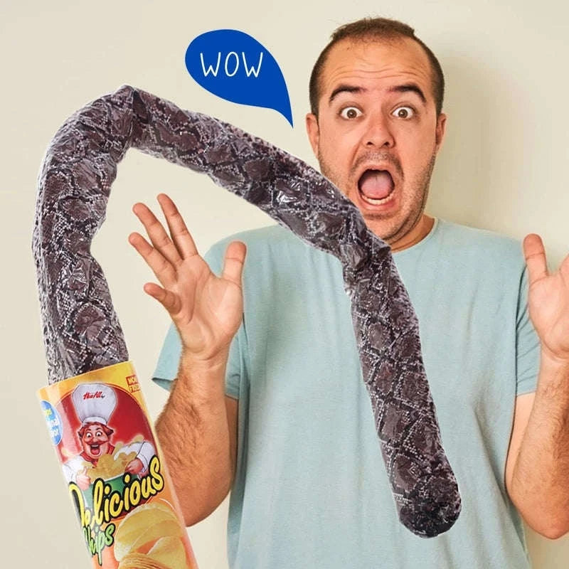 Prank Snake Toy in Potato Chip Can-1pc-11cm X 5cm
