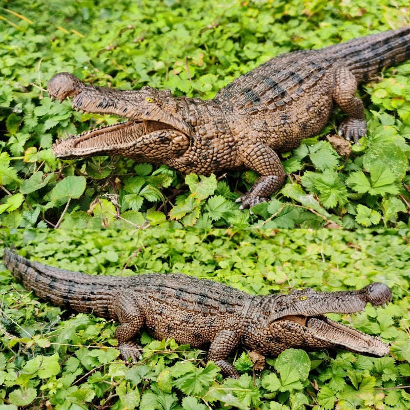 Prehistoric Jurassic Dinosaur Action Figures Set-dinosaur model 3