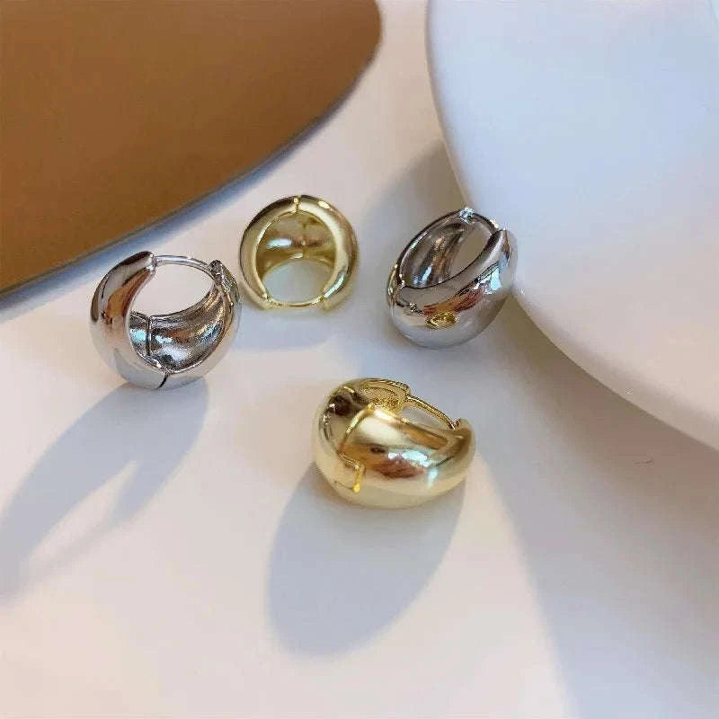 Punk Oval Hoop Earrings in Minimalist Metallic Style-661864