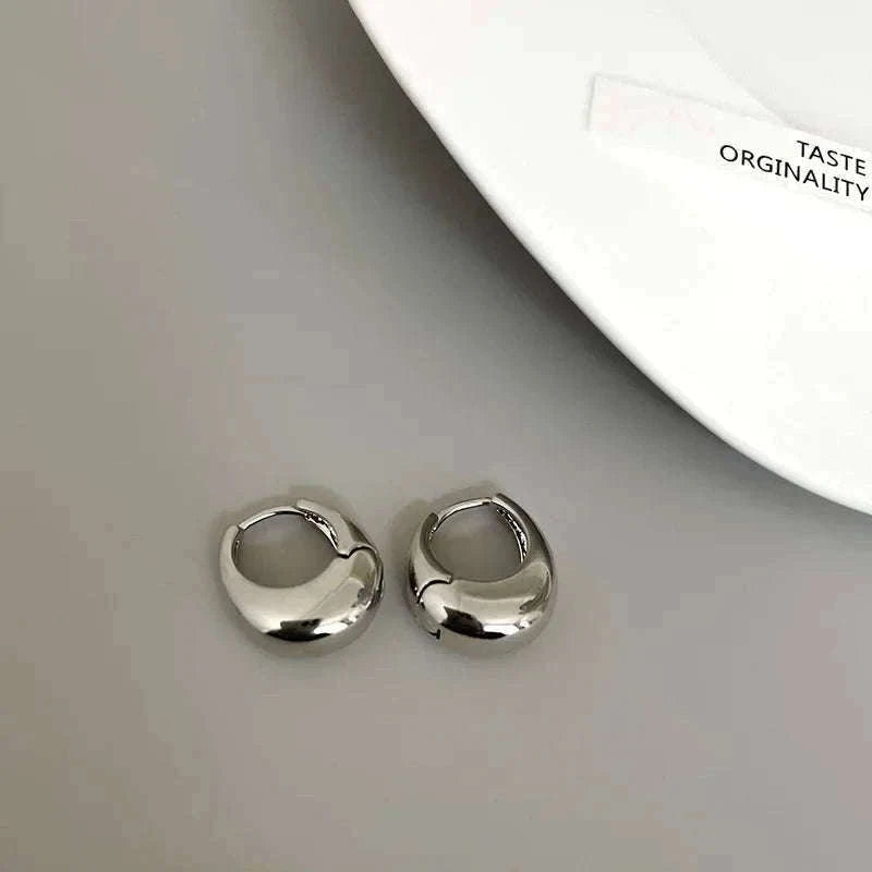 Punk Oval Hoop Earrings in Minimalist Metallic Style-661864