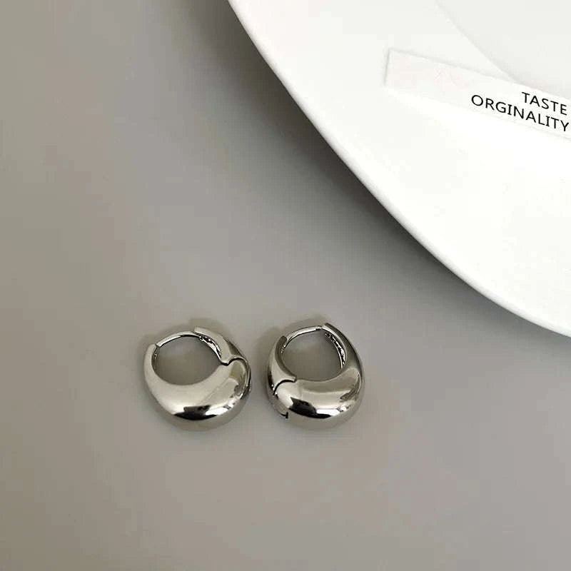Punk Oval Hoop Earrings in Minimalist Metallic Style-661864